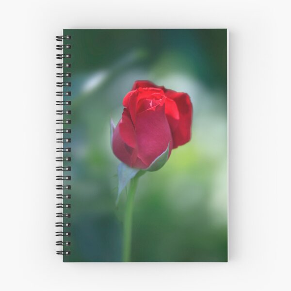 Item preview, Red rose on nature background designed and sold by olena2552.