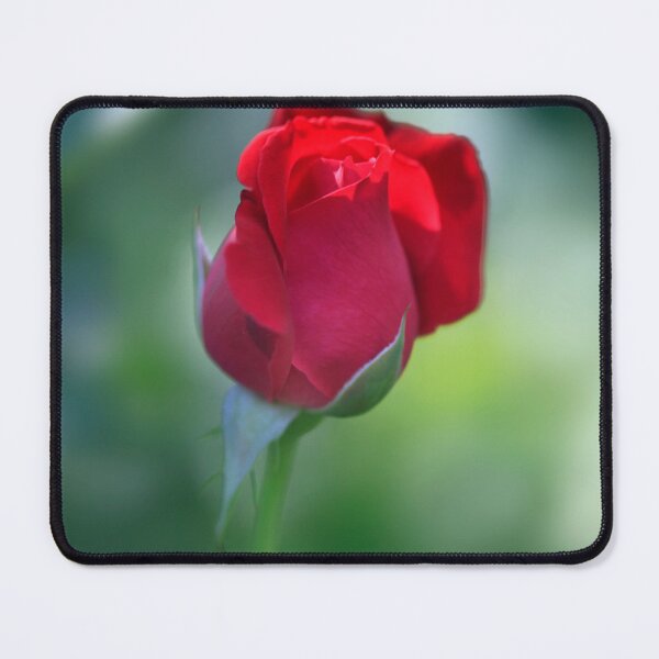 Item preview, Red rose on nature background designed and sold by olena2552.
