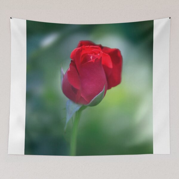 Item preview, Red rose on nature background designed and sold by olena2552.