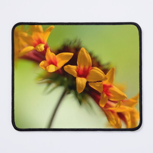 Item preview, Colorful flowers on green background designed and sold by olena2552.