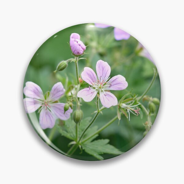 Item preview, Pinks grow. Wood cranesbill designed and sold by Jouko Lehto Photography.