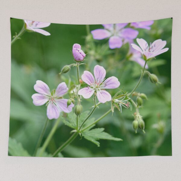 Item preview, Pinks grow. Wood cranesbill designed and sold by Jouko Lehto Photography.