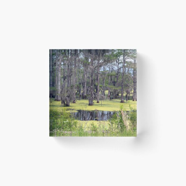 Item preview, Panther Swamp Outside Yazoo City Mississippi designed and sold by RocketshipRetro.