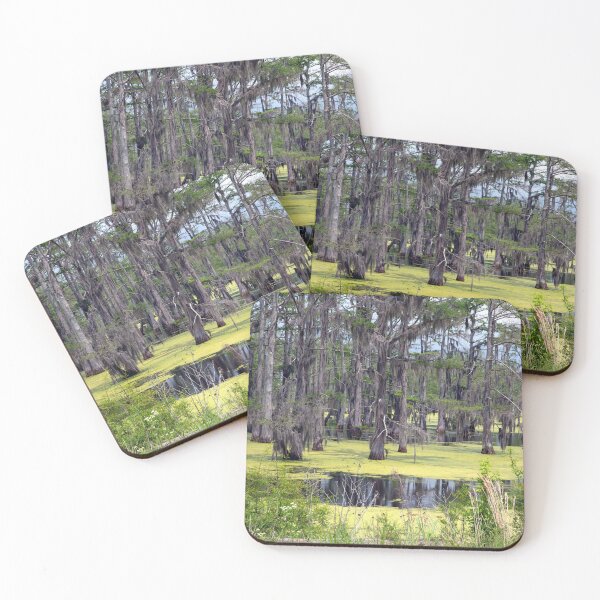 Item preview, Panther Swamp Outside Yazoo City Mississippi designed and sold by RocketshipRetro.