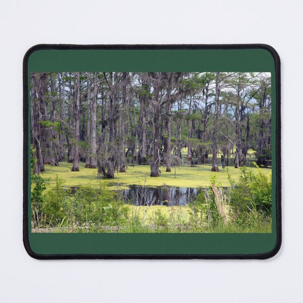 Item preview, Panther Swamp Outside Yazoo City Mississippi designed and sold by RocketshipRetro.