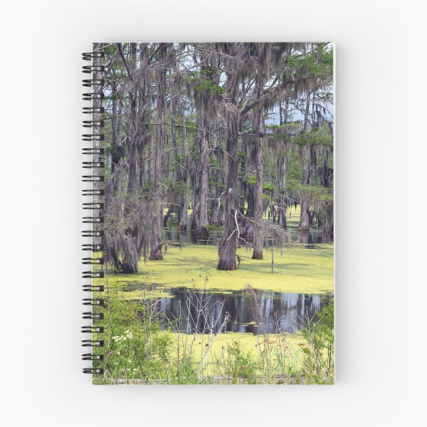 Item preview, Panther Swamp Outside Yazoo City Mississippi designed and sold by RocketshipRetro.