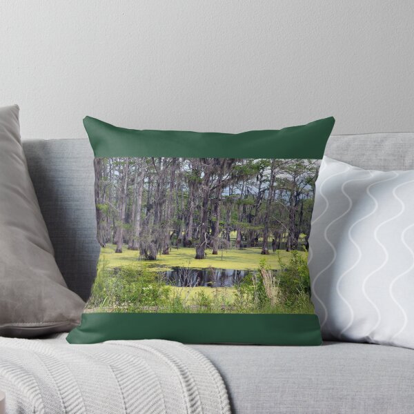 Item preview, Panther Swamp Outside Yazoo City Mississippi designed and sold by RocketshipRetro.