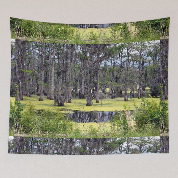 Item preview, Panther Swamp Outside Yazoo City Mississippi designed and sold by RocketshipRetro.