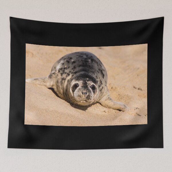 Item preview, Grey Seal designed and sold by Andy Beattie.