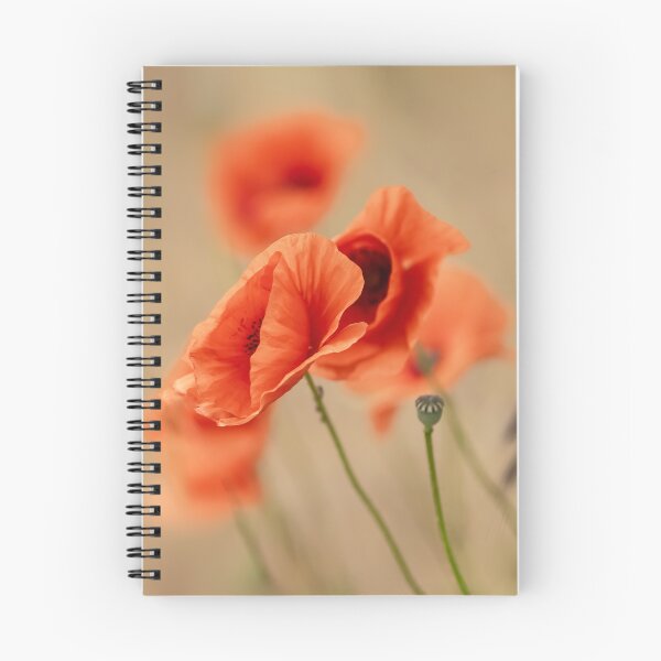 Artikelvorschau, Mohn, Nahaufnahme. entworfen und verkauft von Beabue.