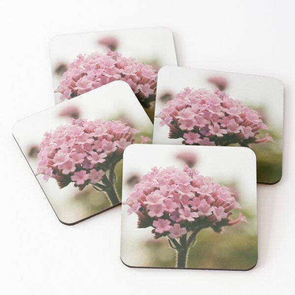 Item preview, Bloom in Pink designed and sold by Phil Bothwell Photography.