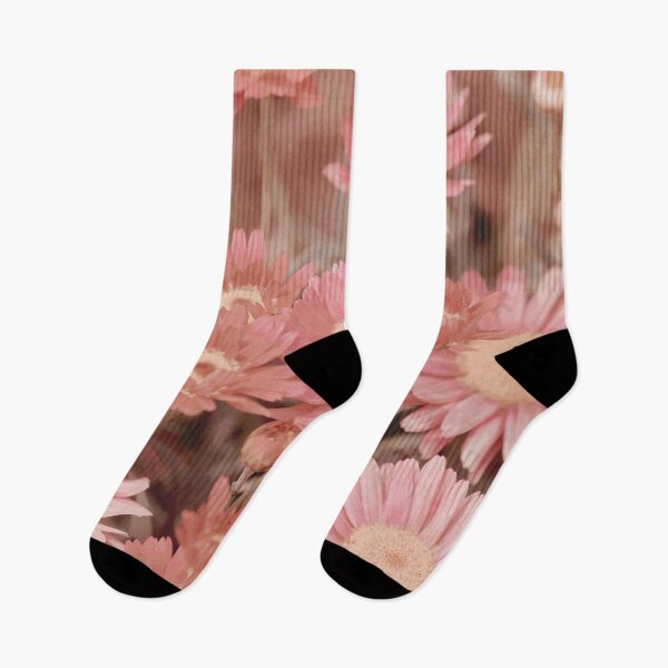 Aperçu de l'œuvre Fleurs de marguerite rose créée et vendue par FeatherfallSTU.