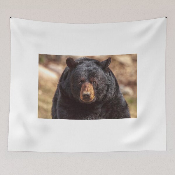 Item preview, Black Bear designed and sold by Eunice Gibb.