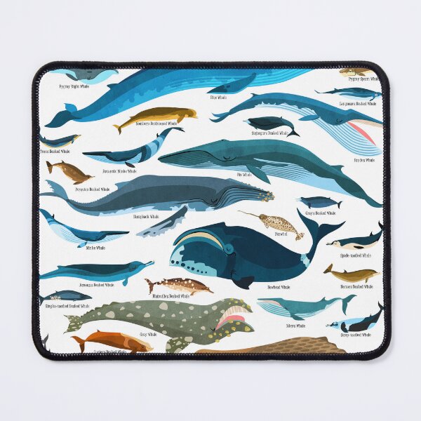 Item preview, Whales Of The World - whimsical whale illustration designed and sold by daviz.