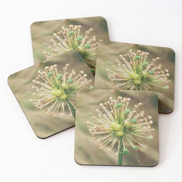 Item preview, Softness of Nature designed and sold by Phil Bothwell Photography.