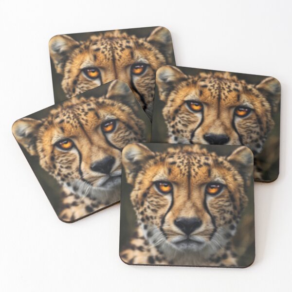 Item preview, The Stare of a Cheetah designed and sold by SkyBridgePRJ.