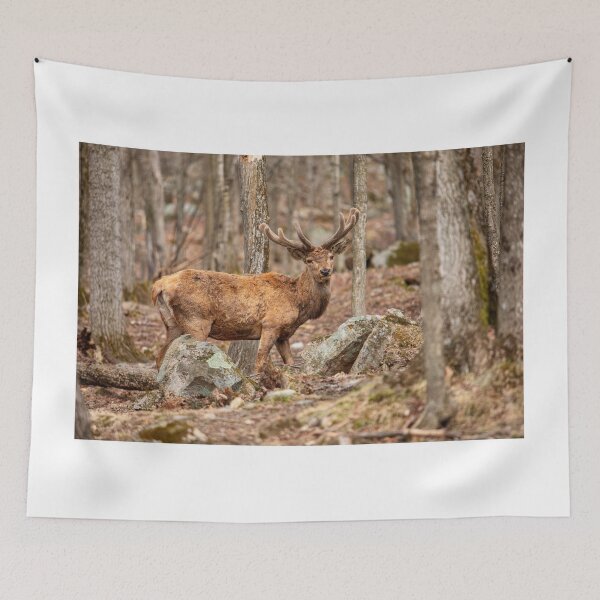 Item preview, Red Deer designed and sold by Eunice Gibb.