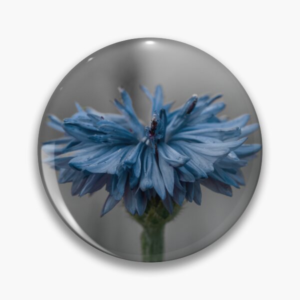 Item preview, Blue Cornflower grey background  designed and sold by Cblifeisgood.