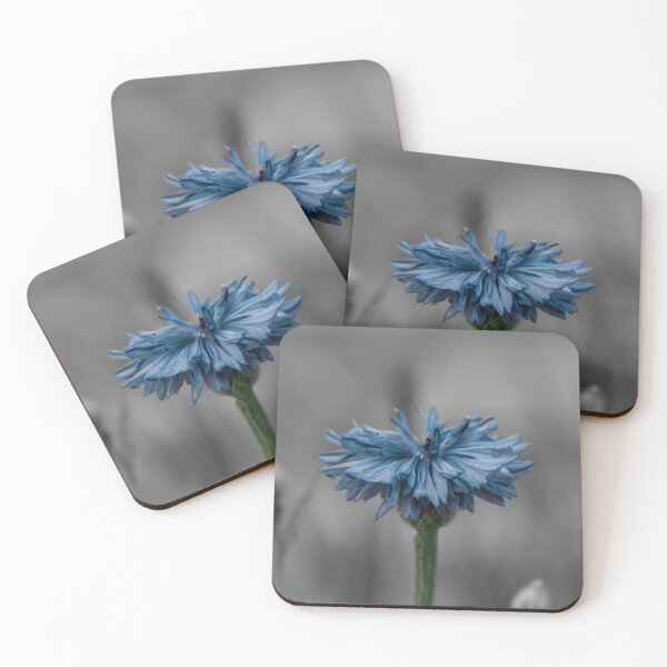 Item preview, Blue Cornflower grey background  designed and sold by Cblifeisgood.