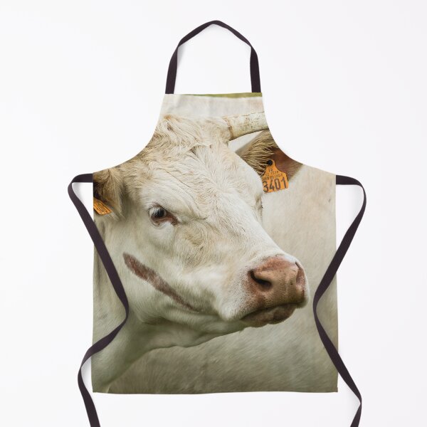 Artikelvorschau, Charolais-Rind entworfen und verkauft von Jane Stanley Photography.