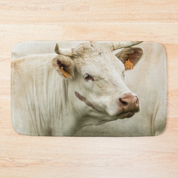 Artikelvorschau, Charolais-Rind entworfen und verkauft von Jane Stanley Photography.