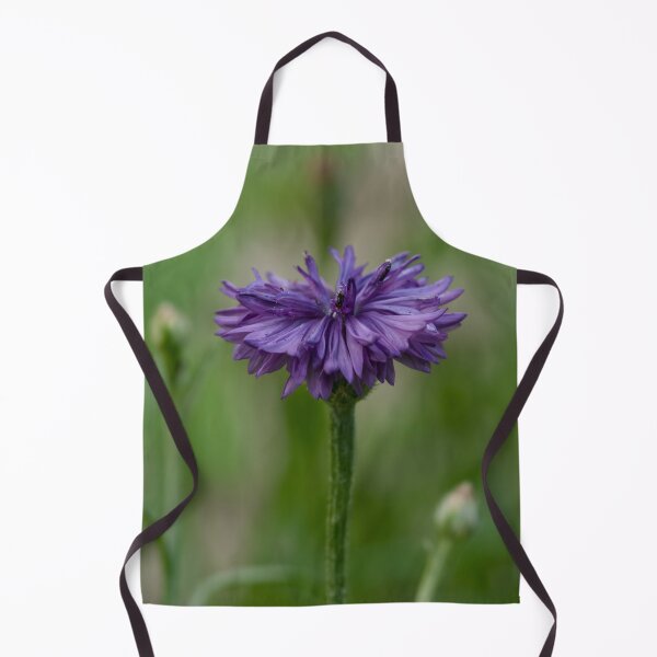 Item preview, Purple Cornflower photo designed and sold by Cblifeisgood.