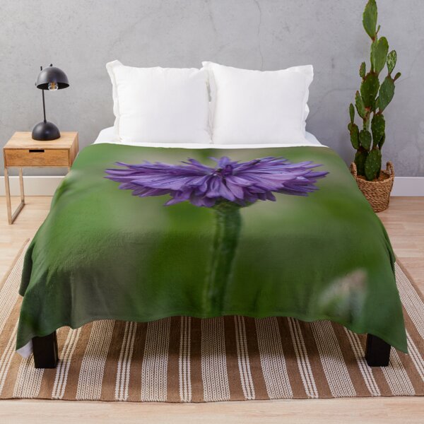 Item preview, Purple Cornflower photo designed and sold by Cblifeisgood.