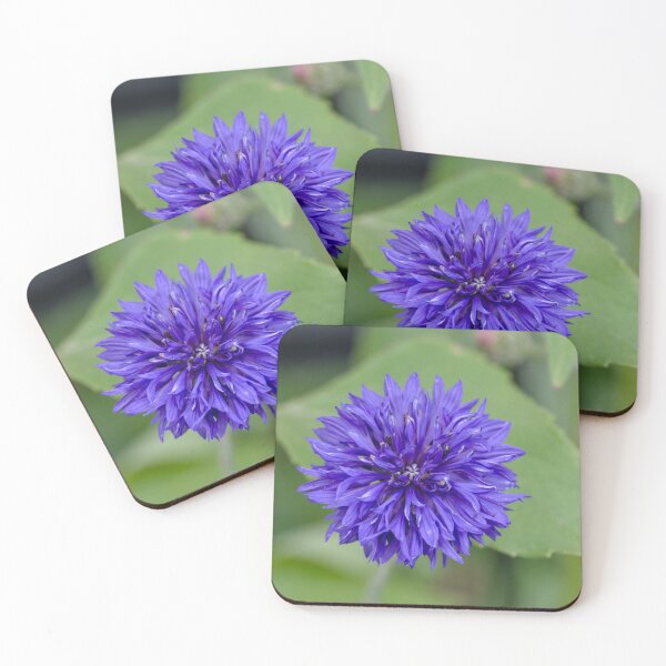 Item preview, Dark Blue Cornflower  designed and sold by Cblifeisgood.
