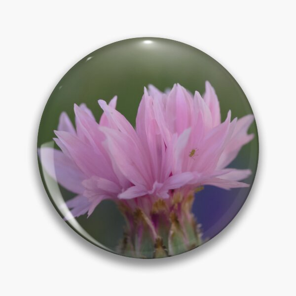 Item preview, Pink Cornflower and tiny aphid designed and sold by Cblifeisgood.