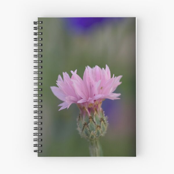 Item preview, Pink Cornflower and tiny aphid designed and sold by Cblifeisgood.