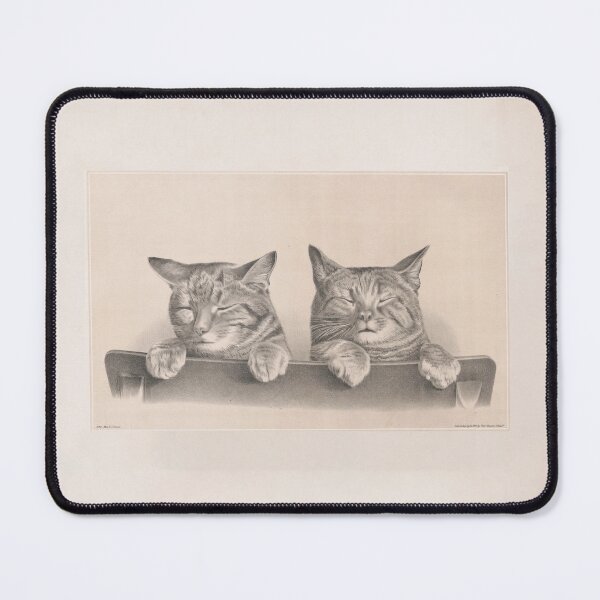 Item preview, Sleepy Cats designed and sold by DesignedForFun.