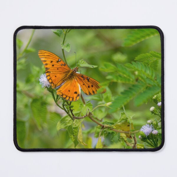 Item preview, Gulf Fritillary on Blue Mistflower designed and sold by Debra Martz.
