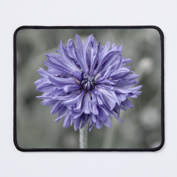 Item preview, Cornflower photo edit designed and sold by Cblifeisgood.