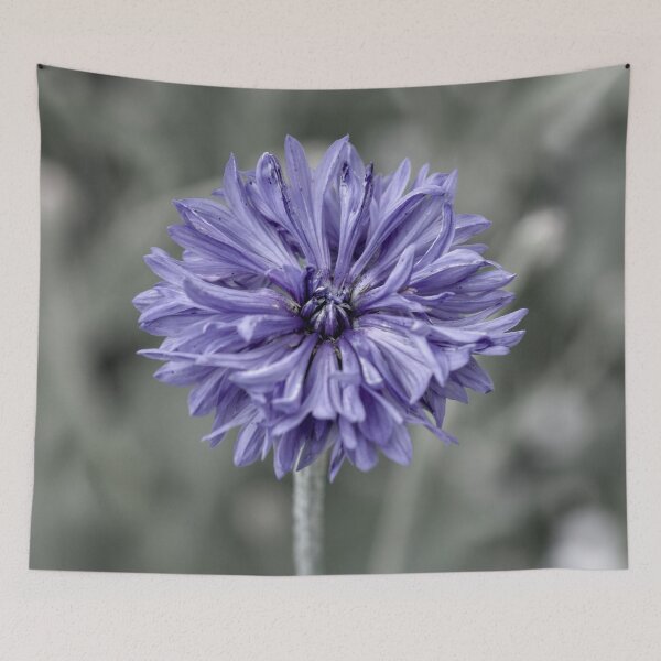Item preview, Cornflower photo edit designed and sold by Cblifeisgood.