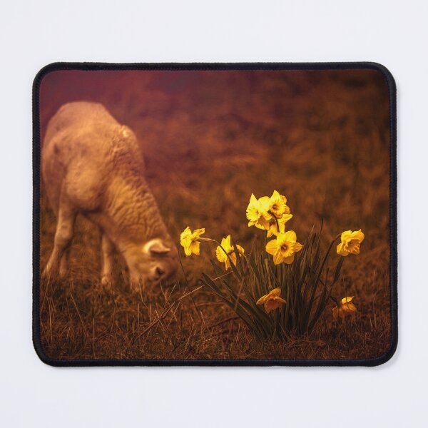 Item preview, Daffodil Grazing 4 designed and sold by Jim Love.