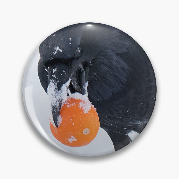 Item preview, Raven Steals the Orange designed and sold by DWMMPhotography.
