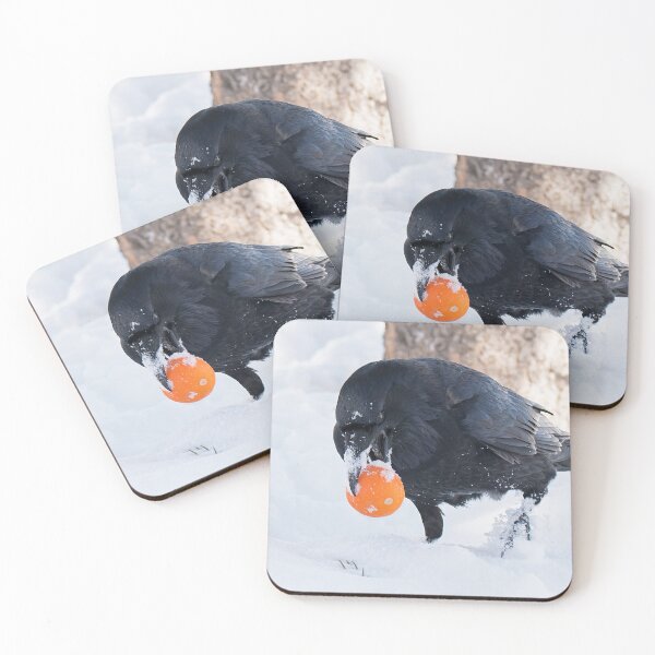 Item preview, Raven Steals the Orange designed and sold by DWMMPhotography.