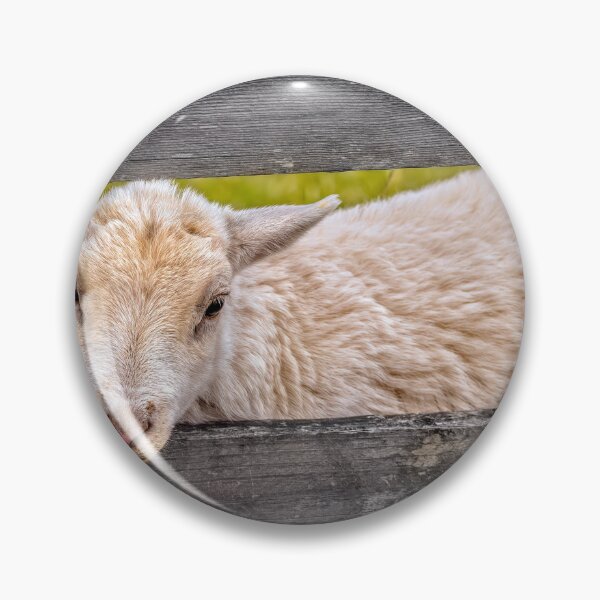 Item preview, Sweet And Endearing  designed and sold by Jim Love.