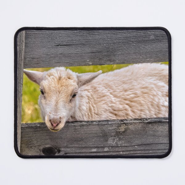 Item preview, Sweet And Endearing  designed and sold by Jim Love.