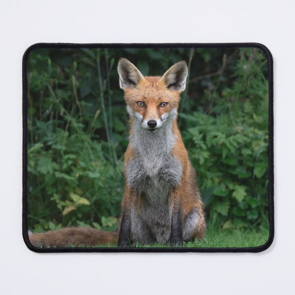 Item preview, The Visitor designed and sold by Jay Mayne.