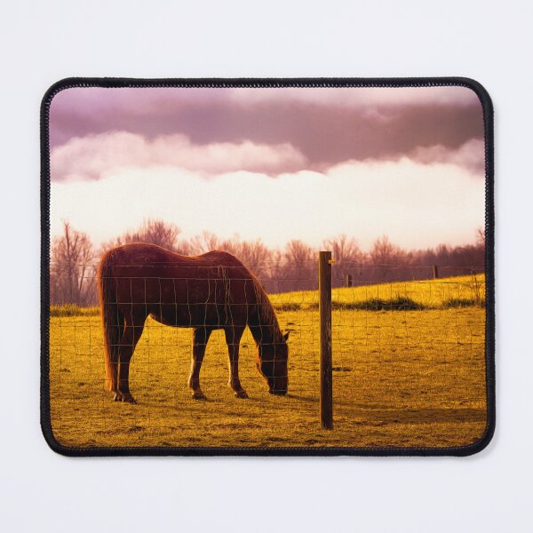 Item preview, Warm Morning Graze designed and sold by Jim Love.