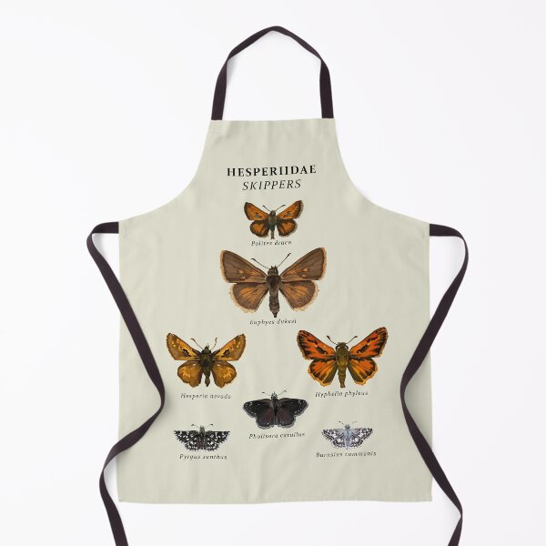 Item preview, Hesperiidae Identification designed and sold by Alan Smith-Daigle.