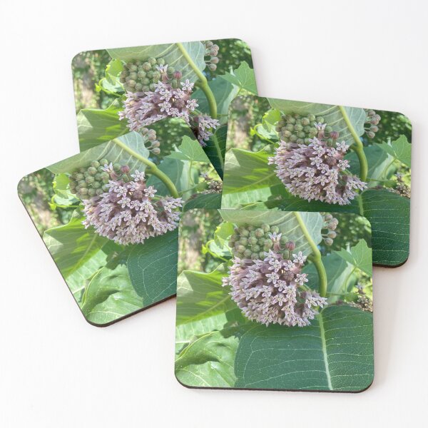 Item preview, Milkweed  designed and sold by Amanda1775.