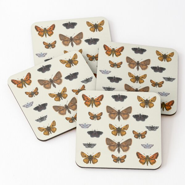 Item preview, Hesperiidae Identification designed and sold by Alan Smith-Daigle.