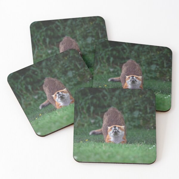 Item preview, Downward Fox designed and sold by Jay Mayne.