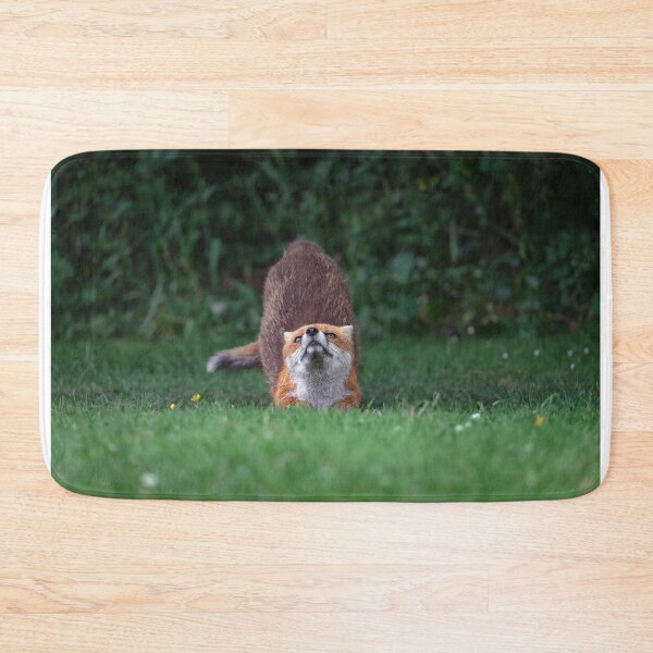 Item preview, Downward Fox designed and sold by Jay Mayne.