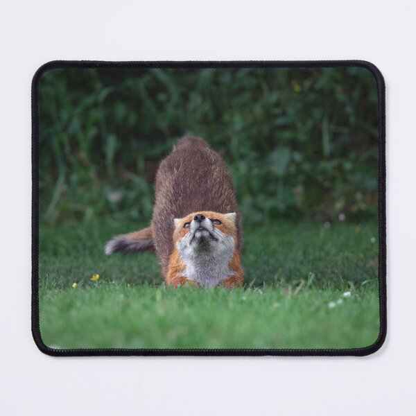Item preview, Downward Fox designed and sold by Jay Mayne.