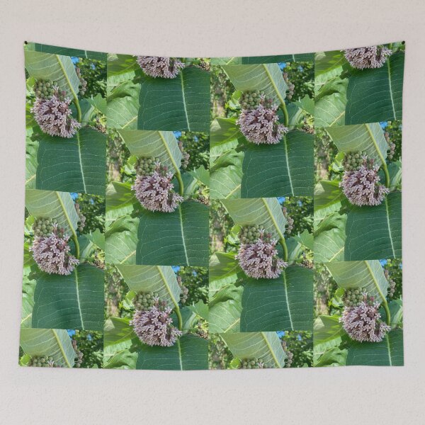 Item preview, Milkweed  designed and sold by Amanda1775.
