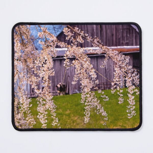 Item preview, Blossoms By The Barn designed and sold by Jim Love.
