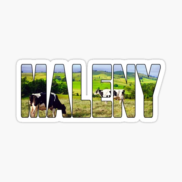 Vista previa del artículo con la obra «MALENY - Vacas lecheras Sunshine Coast Hinterlands QLD», diseñado y vendido por Adam Gormley.